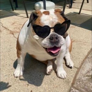 Meet your Posher, Nikki